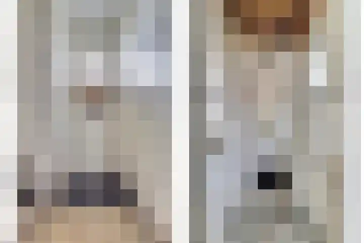 Parallelweg 14 Goes thumbnail 4