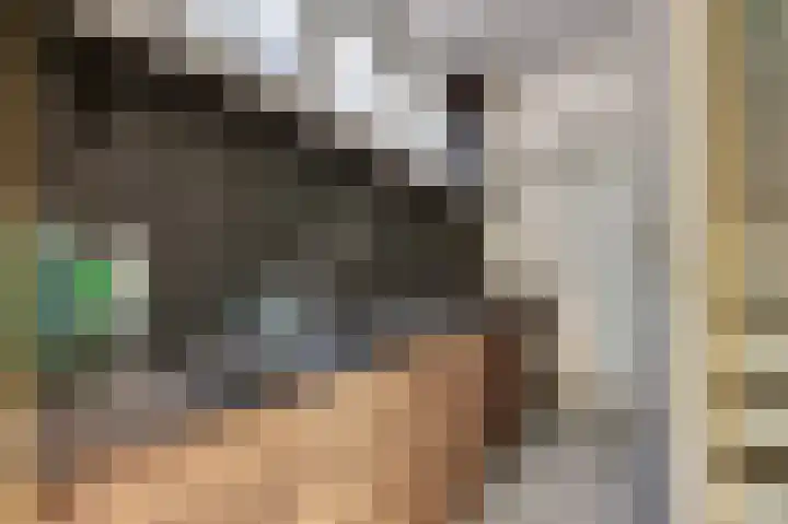 Parallelweg 14 Goes thumbnail 8