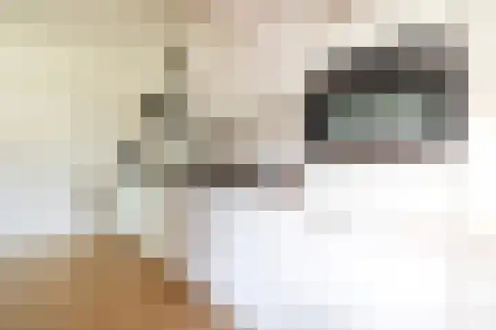 Parallelweg 15 Beerta thumbnail 10