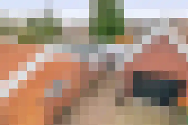 Parallelweg 15 Beerta thumbnail 37