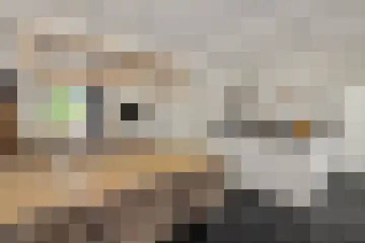 Parallelweg 150 Deurne thumbnail 12