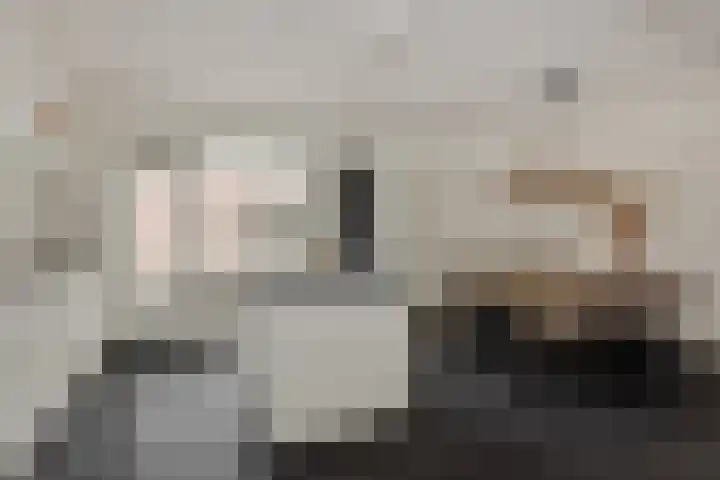 Parallelweg 150 Deurne thumbnail 14