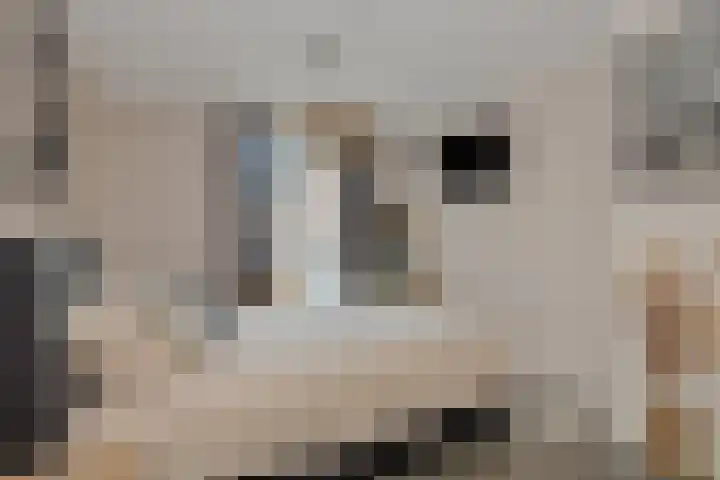 Parallelweg 150 Deurne thumbnail 19