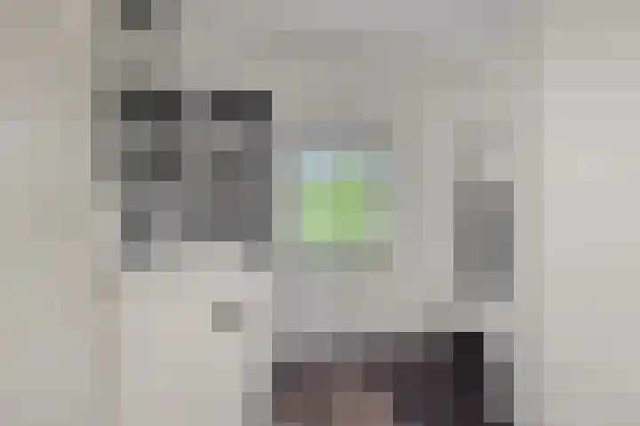 Parallelweg 150 Deurne thumbnail 22
