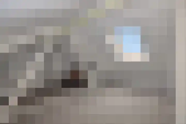 Parallelweg 150 Deurne thumbnail 26