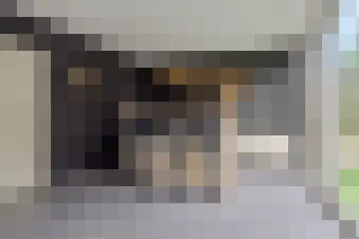 Parallelweg 150 Deurne thumbnail 27