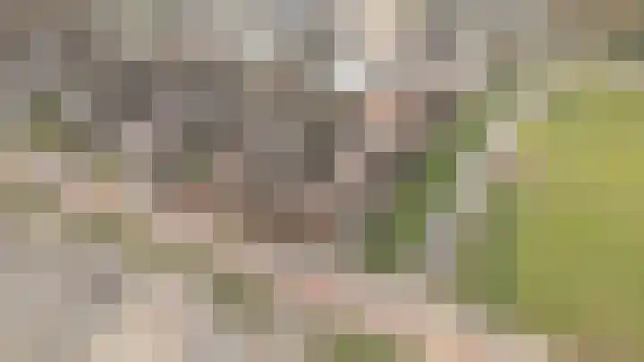Parallelweg 16 Giessen thumbnail 5