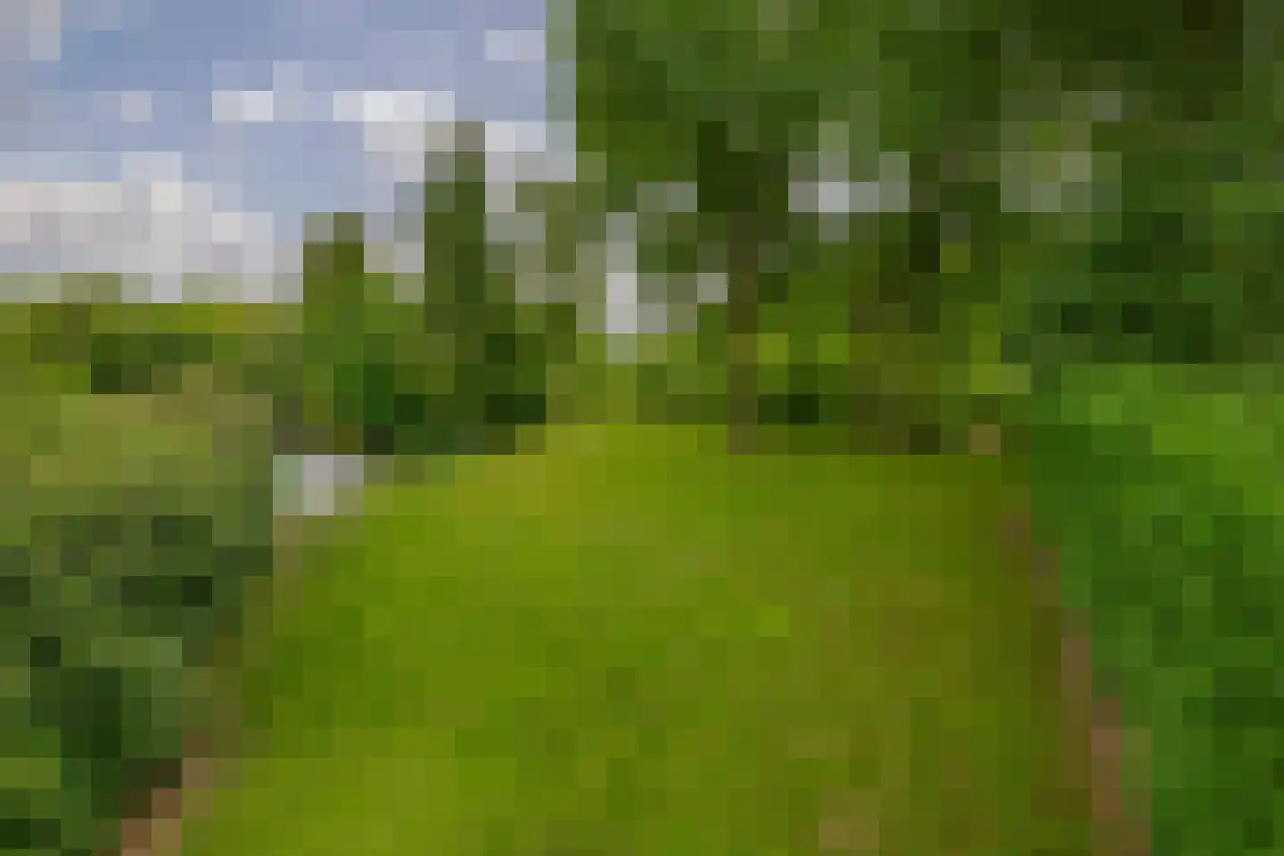 Parallelweg 2 Belfeld thumbnail 49