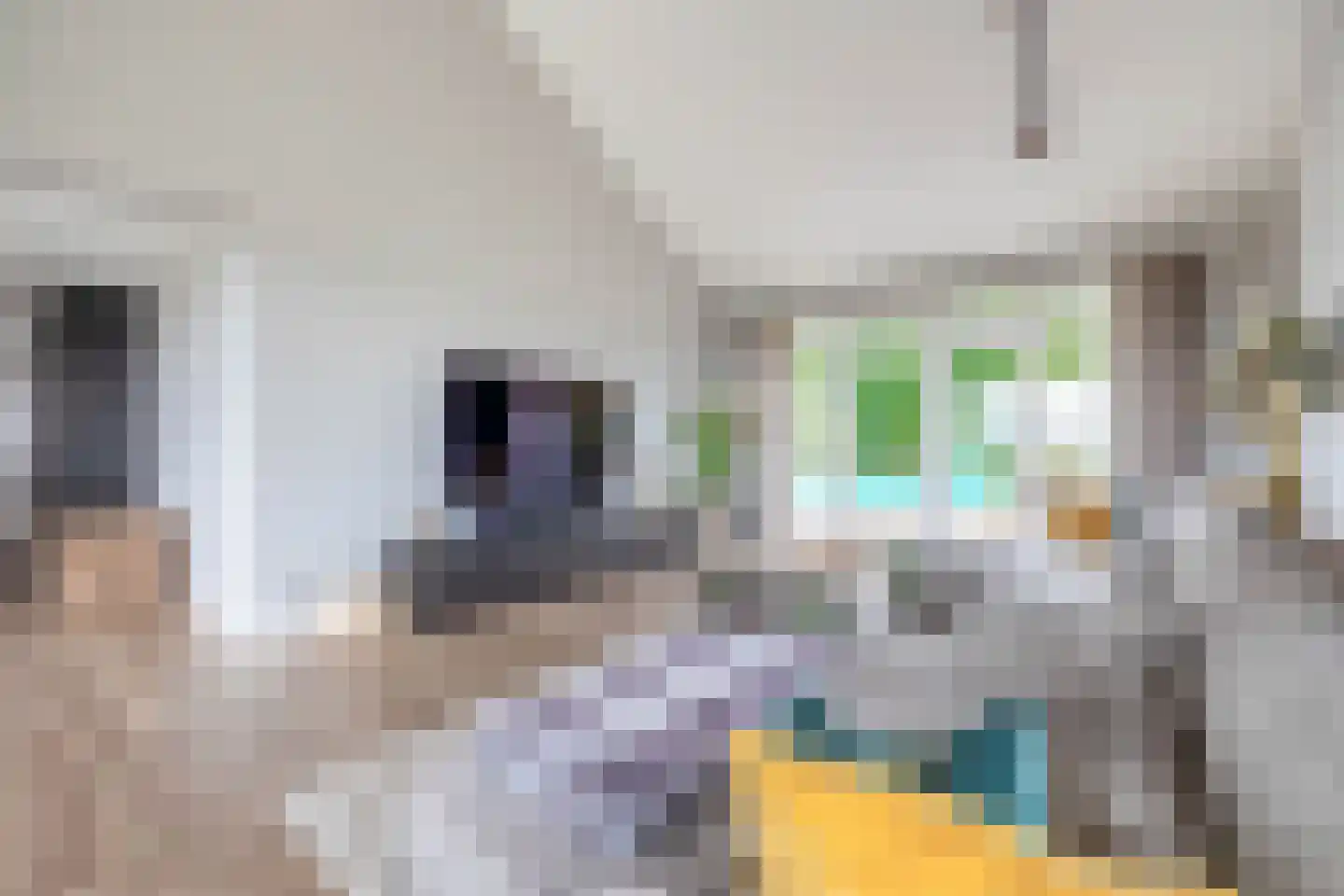 Parallelweg 2 Belfeld thumbnail 7