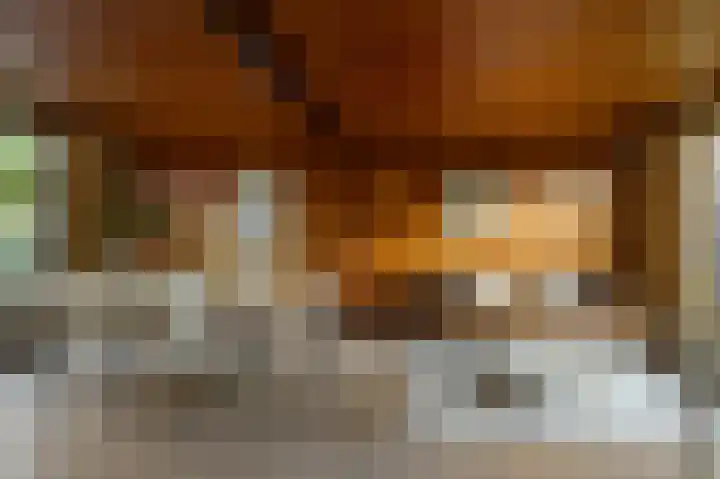 Parallelweg 2 Sint Pancras thumbnail 11