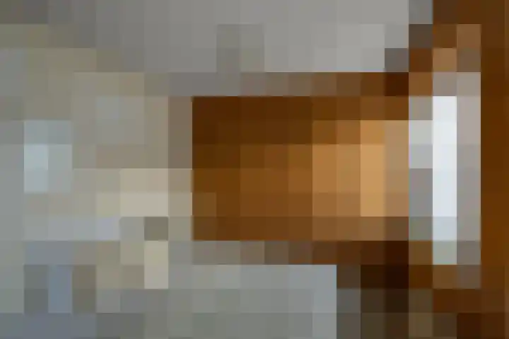 Parallelweg 2 Sint Pancras thumbnail 19