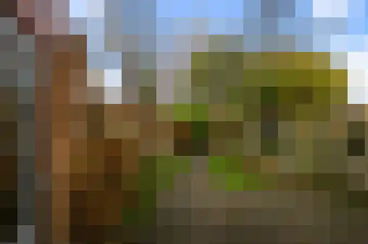 Parallelweg 2 Sint Pancras thumbnail 32
