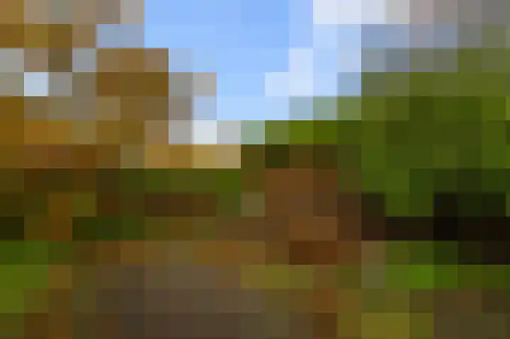 Parallelweg 2 Sint Pancras thumbnail 33