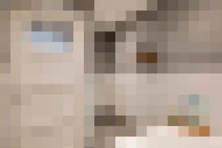 Parallelweg 22 Swalmen thumbnail 17