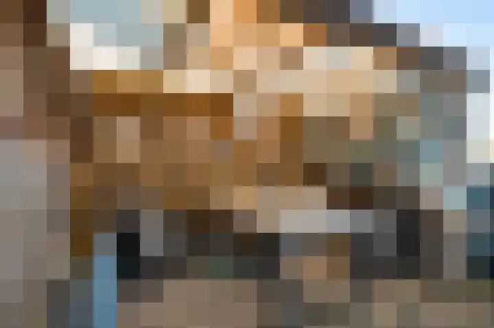 Parallelweg 22 Swalmen thumbnail 23