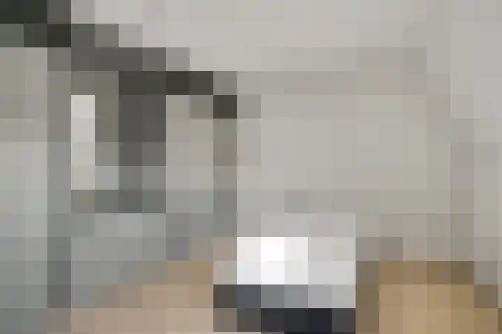 Parallelweg 22 Swalmen thumbnail 32