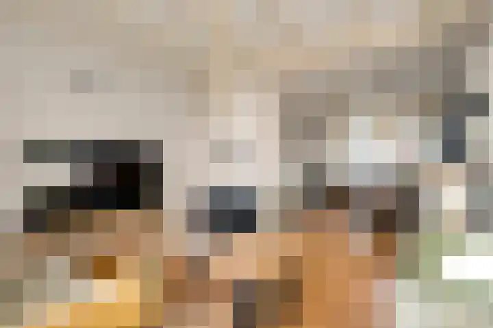 Parallelweg 22 Swalmen thumbnail 8