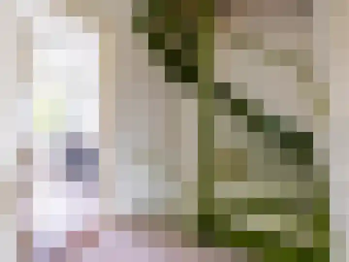 Parallelweg 23 Heelsum thumbnail 16
