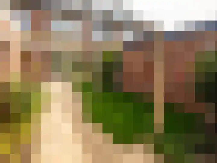 Parallelweg 23 Heelsum thumbnail 27