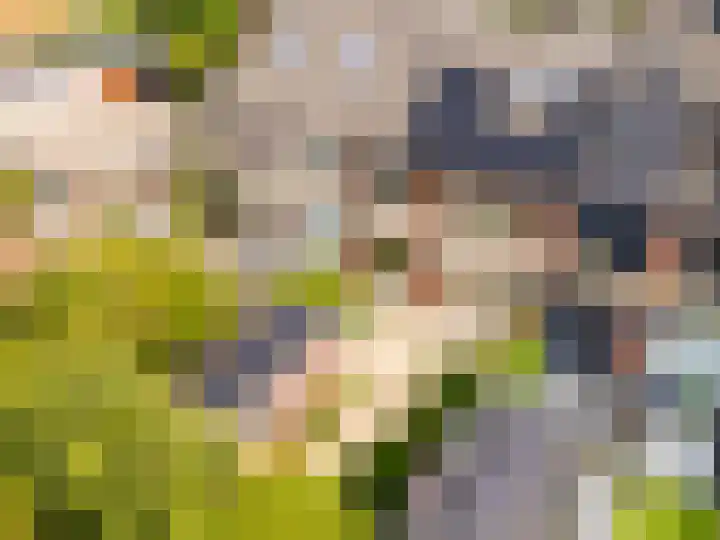 Parallelweg 23 Heelsum thumbnail 29