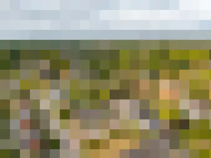 Parallelweg 23 Heelsum thumbnail 30