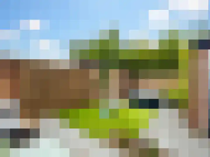 Parallelweg 25 Heelsum thumbnail 28
