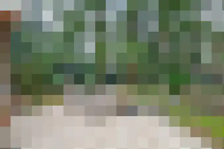 Parallelweg 26 24 Hierden thumbnail 22