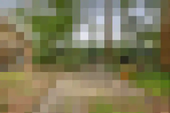 Parallelweg 26 24 Hierden thumbnail 23