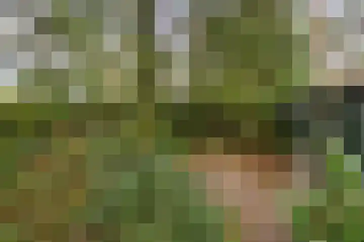 Parallelweg 26 24 Hierden thumbnail 24