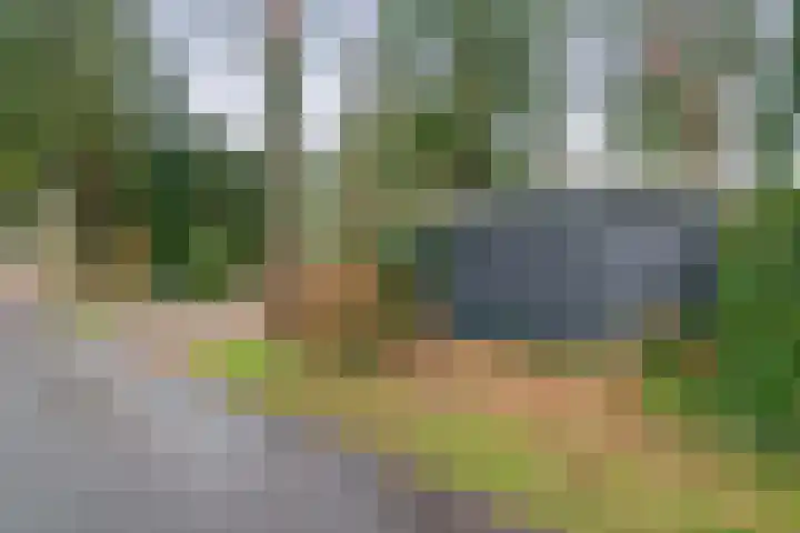 Parallelweg 26 24 Hierden thumbnail 27