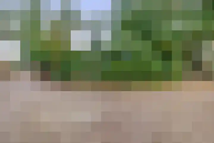 Parallelweg 26 24 Hierden thumbnail 30