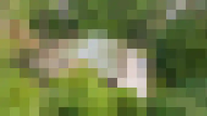 Parallelweg 26 24 Hierden thumbnail 31