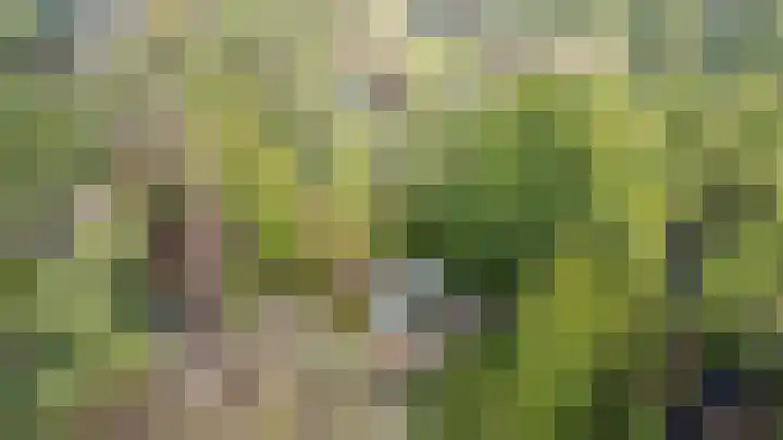 Parallelweg 26 24 Hierden thumbnail 32