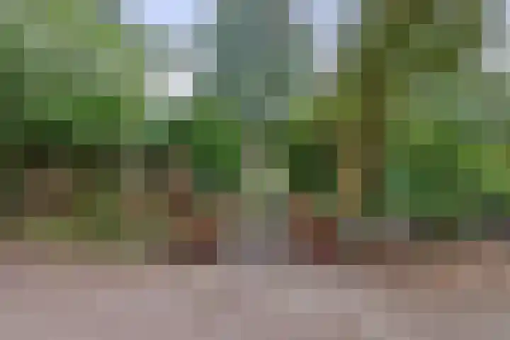 Parallelweg 26 24 Hierden thumbnail 4