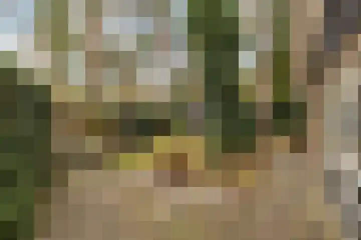 Parallelweg 26 25 Hierden thumbnail 45