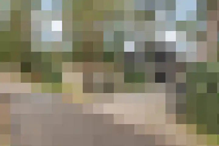 Parallelweg 26 25 Hierden thumbnail 5