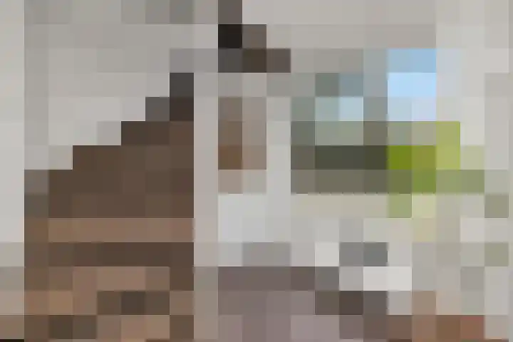 Parallelweg 26 25 Hierden thumbnail 7