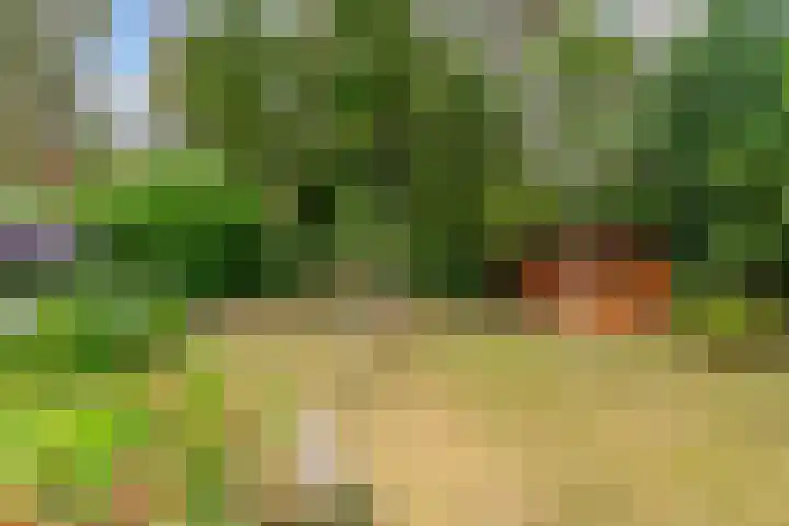 Parallelweg 26 34 Hierden thumbnail 30
