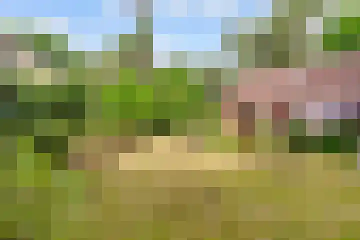 Parallelweg 26 34 Hierden thumbnail 33