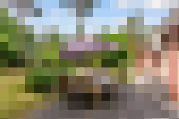 Parallelweg 26 34 Hierden thumbnail 35