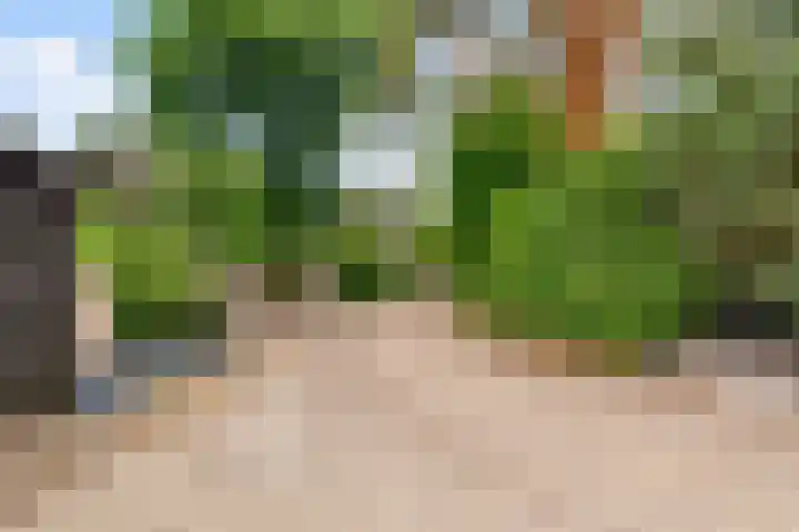 Parallelweg 26 34 Hierden thumbnail 40