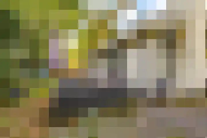 Parallelweg 26 92 Hierden thumbnail 19