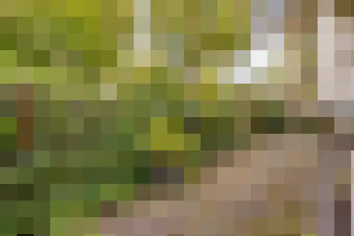Parallelweg 26 92 Hierden thumbnail 26