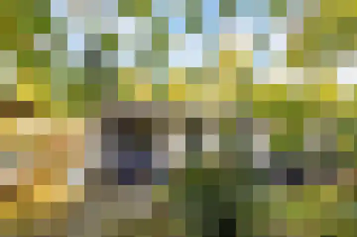 Parallelweg 26 92 Hierden thumbnail 5