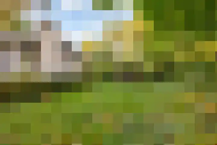 Parallelweg 26 92 Hierden thumbnail 6