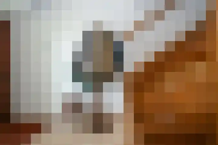 Parallelweg 3 Hunsel thumbnail 13