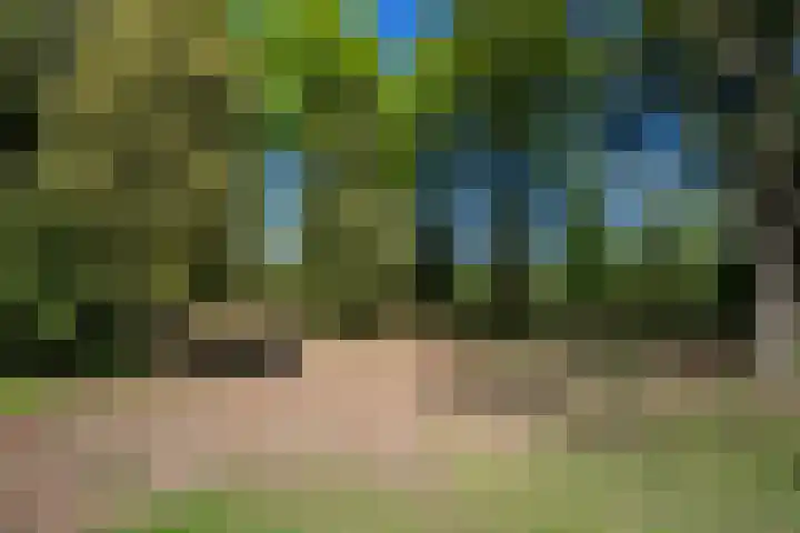 Parallelweg 3 Hunsel thumbnail 22