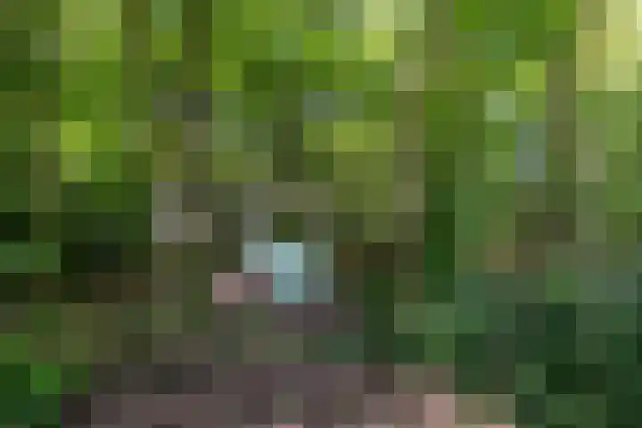 Parallelweg 3 Hunsel thumbnail 23