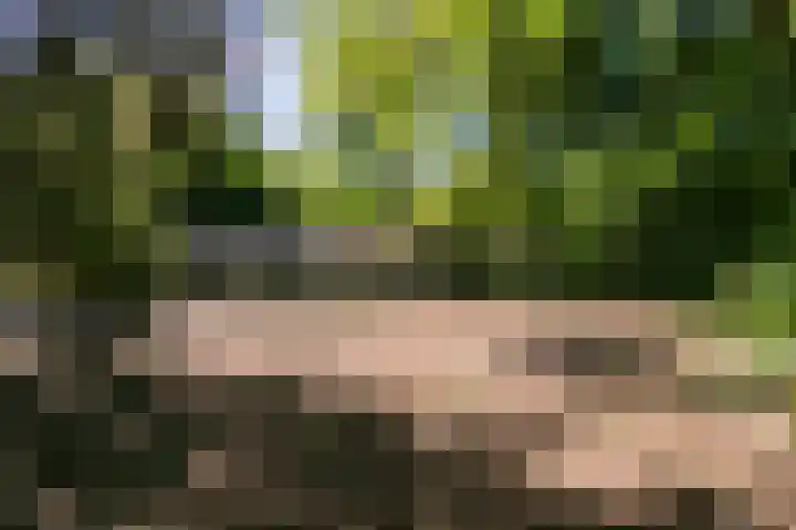Parallelweg 3 Hunsel thumbnail 24