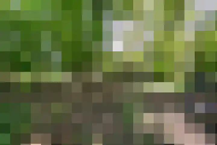 Parallelweg 3 Hunsel thumbnail 25